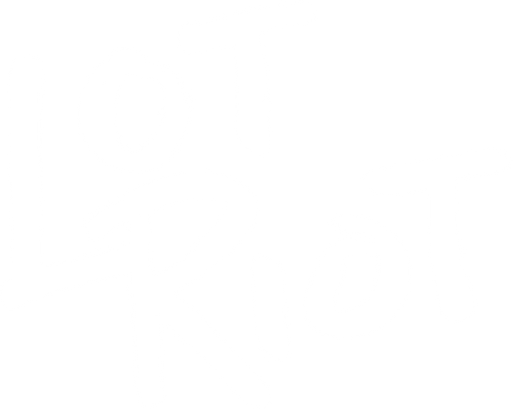 Lot Riot